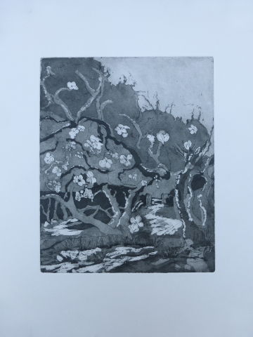 Apple Blossom