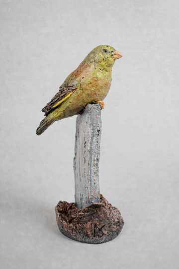 Greenfinch
