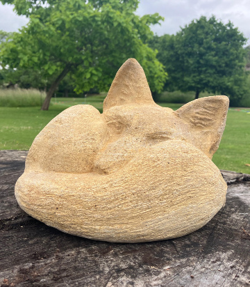 Little Fox