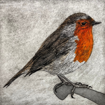 Sweet Robin