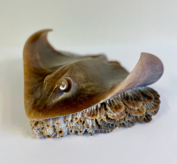 Stingray