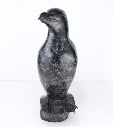 Razorbill