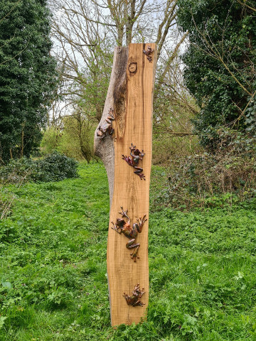 Tree Frogs