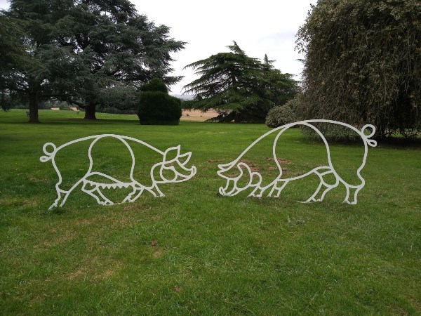 Mr and Mrs Pig
