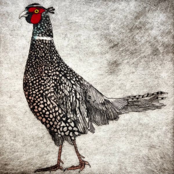 Little Pheasant