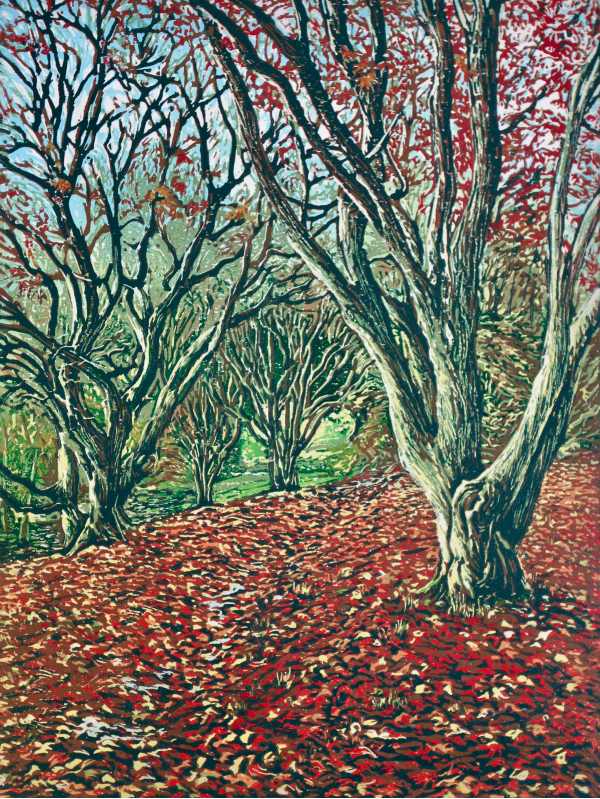 Killerton Autumn