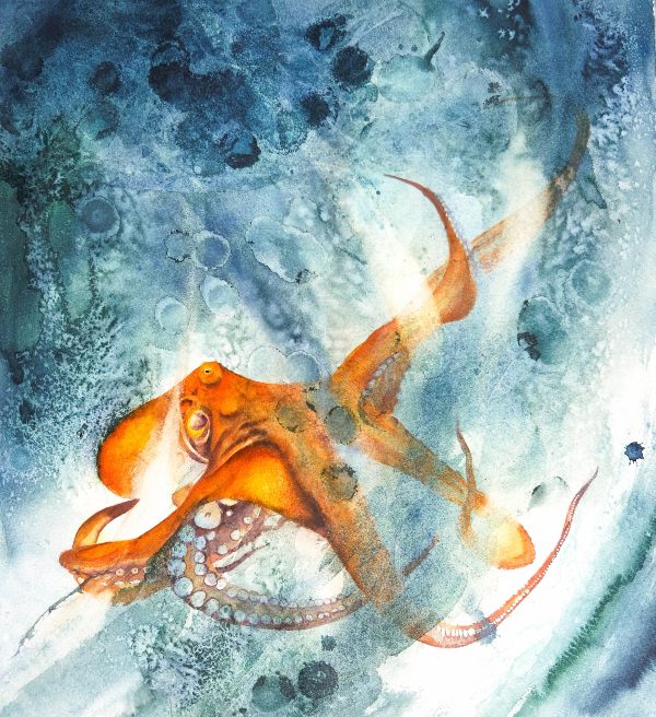 Frothing Octopus 