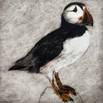 Precious Puffin