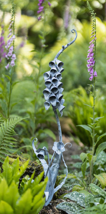 Foxglove