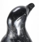 Razorbill