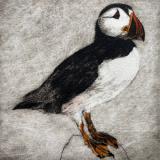 Precious Puffin