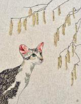 Catkin