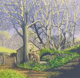 Lamorna in the Woods
