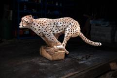 Hot Pursuit (Cheetah)