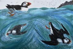Feeding Frenzy, South Haven