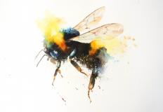 The Bees Knees
