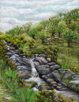 Red-a-Ven Brook, Dartmoor