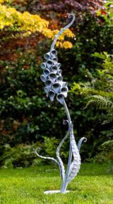 Foxgloves and Ferns